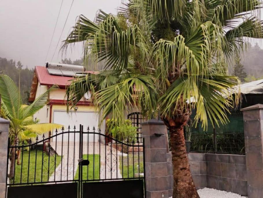 Charmante Maison Au Coeur Des 3 Montagnes Salazie Exteriör bild